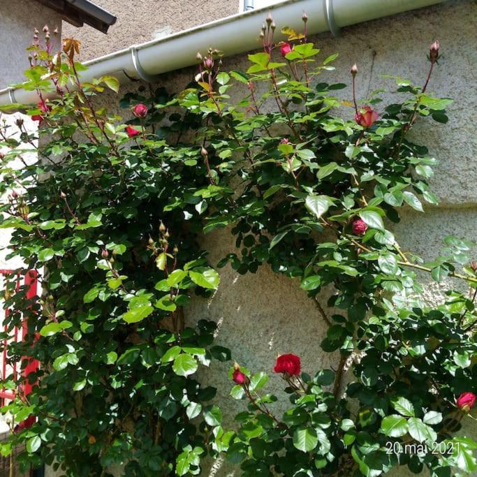 Ferienhaus Maison Aux Portes Du Centre Historique De Avec 3 Et Garage *