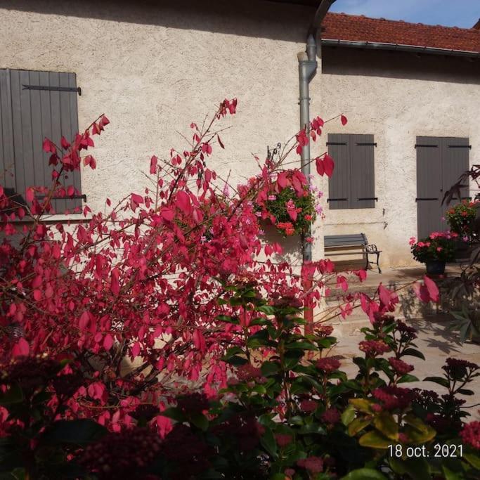 Ferienhaus Maison Aux Portes Du Centre Historique De Avec 3 Et Garage